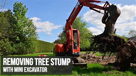 will a mini digger remove tree stumps|tree stump removal with mini excavator.